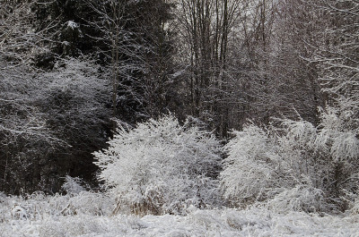 大雪