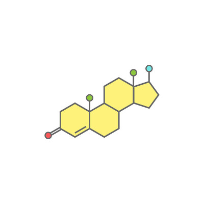 睾酮molecula结构。彩色线图标孤立在白色背景。
