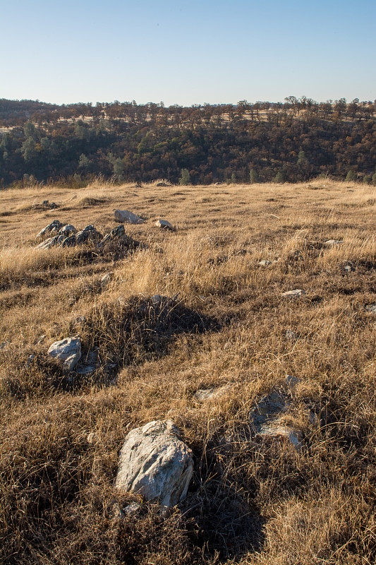 岩石露头在干燥的草地景观埃尔多拉多山，加利福尼亚州