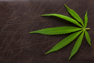 白色背景上的麻床单