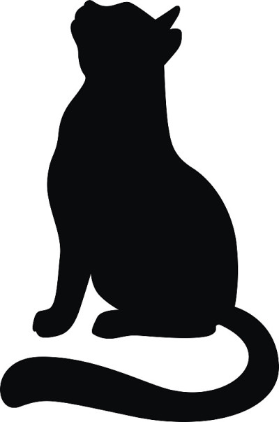 一只猫抬头看的剪影