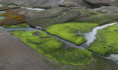 Gabriola岛海岸
