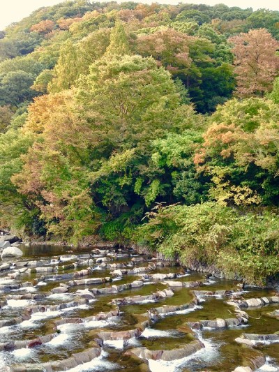 分层河流和朦胧森林