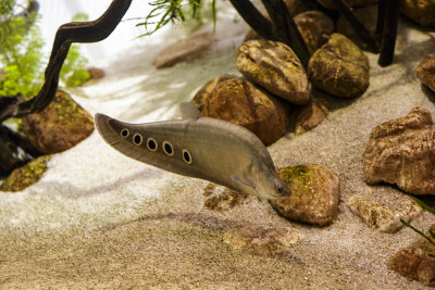 水族馆