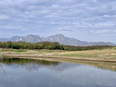 墨西哥锡那罗亚州El Salto湖的海岸线
