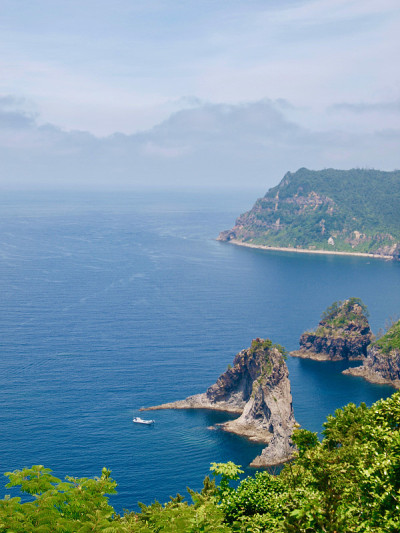冲电气岛/岛,日本
