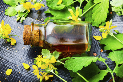 白屈菜、草药酊剂。
