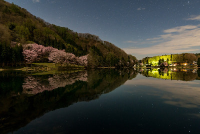 樱花倒映在湖面上