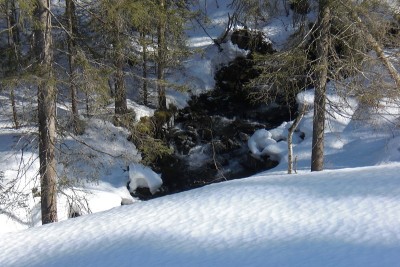 雪的观点