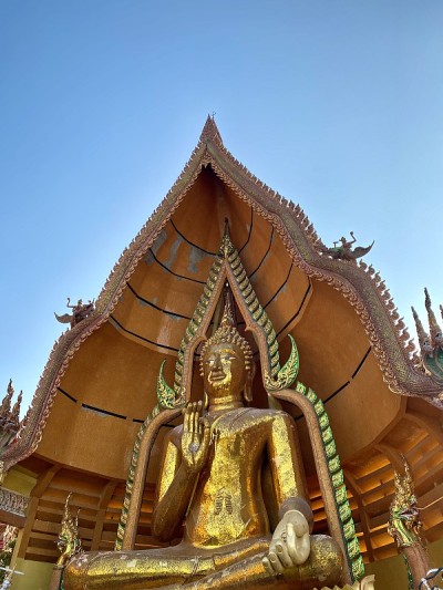 在Tham Sua寺的金佛