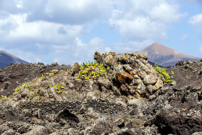 冷火山流详细