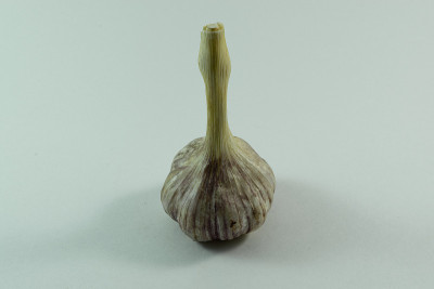 大蒜在数量1片，俯视图，特写“n”
