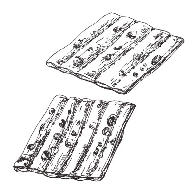无酵饼——犹太传统食品。向量复古孵化彩色插图。