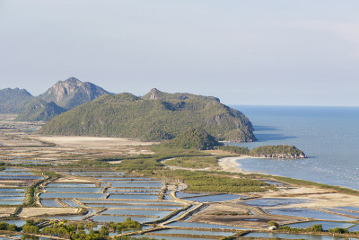 山