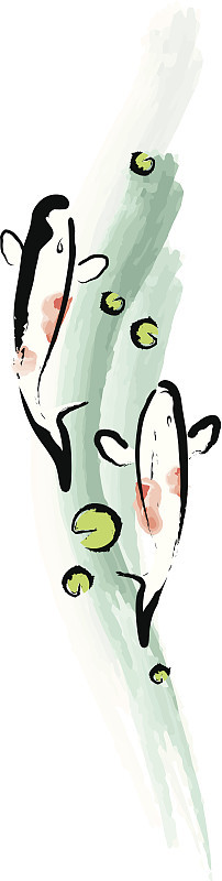 鲤鱼