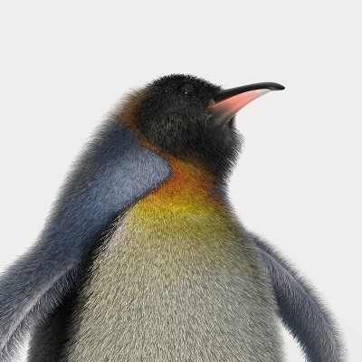Emperor penguins
