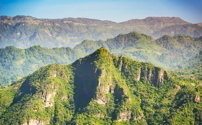 印度鼻峰