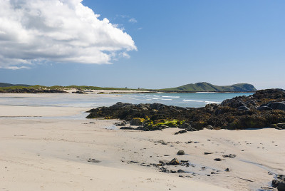 Tiree