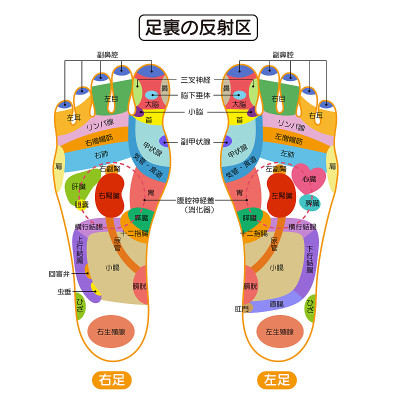 脚底反射区及穴位图解