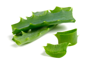 白色上分离的芦荟
