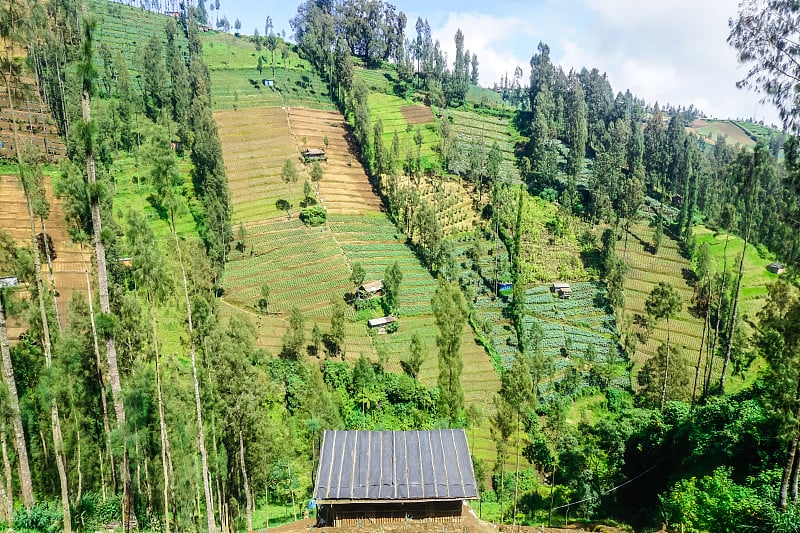 去布罗莫火山路上的山景