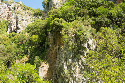 山Arkadia