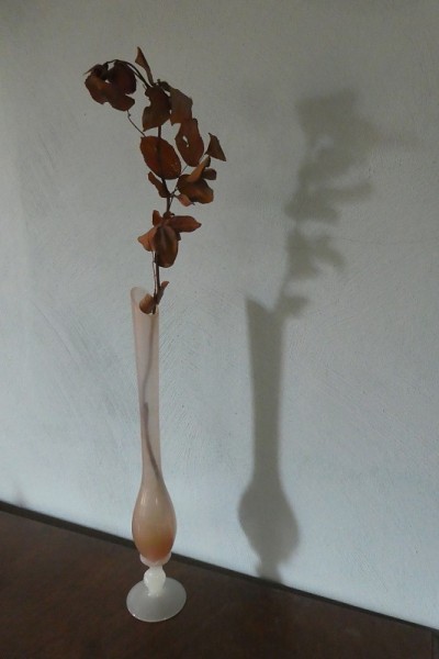 玫瑰纪念品