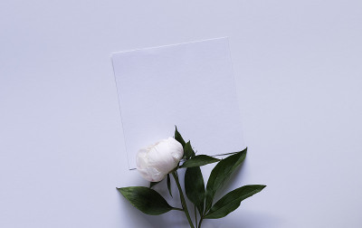 模型用鲜花
