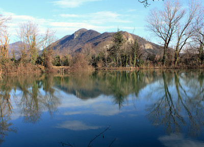 泥炭沼泽，池塘意大利