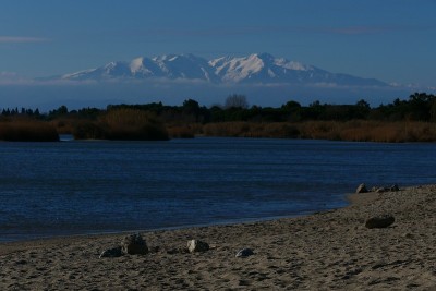 背景是阿格利河岸和白雪覆盖的Canigou, Pyrénées-Orientales