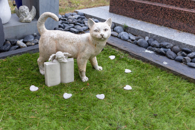 一只猫的墓，石猫雕像在宠物墓地
