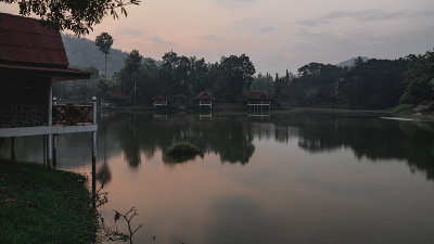 森林湖上的黎明