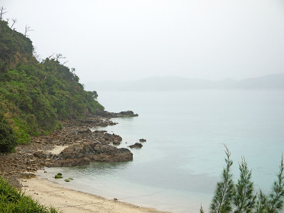 Amami海岸