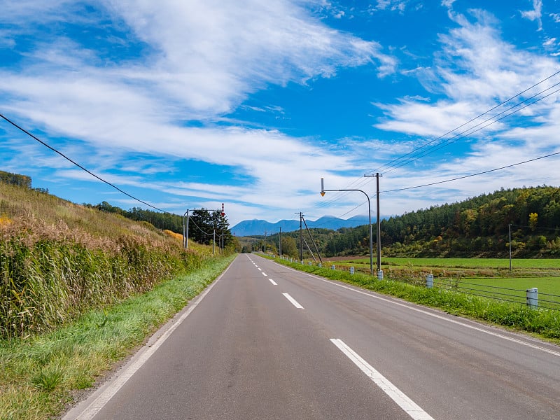 夏天别镇的美丽风景。Biei位于日本北海道朝川和富兰野之间。