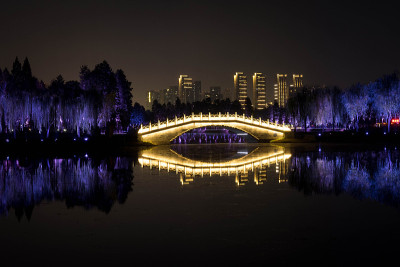 中国湖北武汉东湖的中国桥夜景和城市天际线为背景