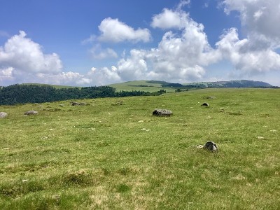 海拔2000米的宇津原高原夏季风光
