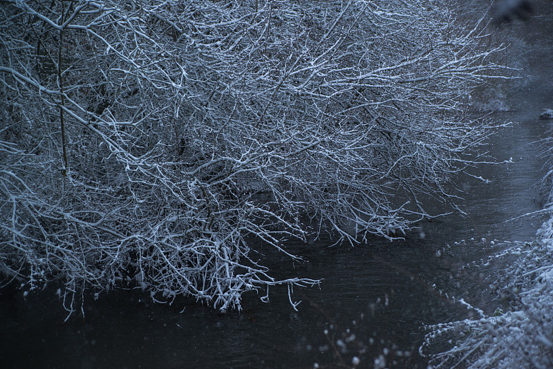 雪林中的小河