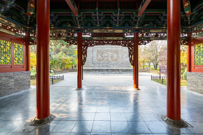 秋天，公园里有中国古建筑的阁楼和银杏树
