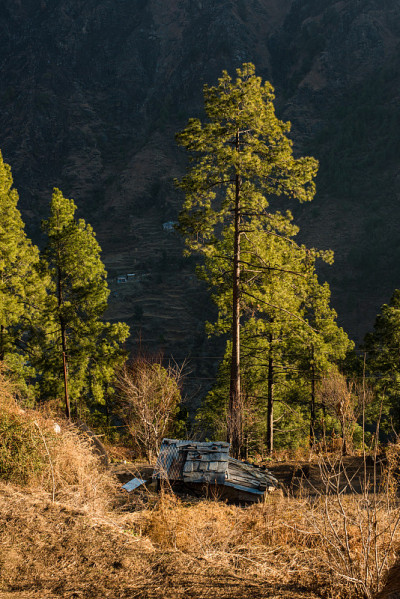 喜马拉雅山喜马偕尔的典型高山木屋