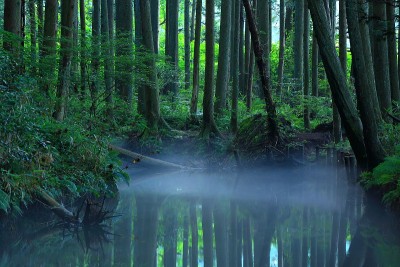 山形县夏河