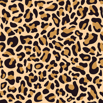 Seamless pattern of leopard skin