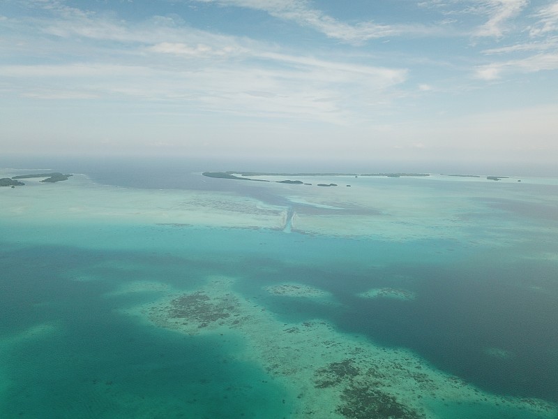 帕劳的德国海峡，蝠鲼潜水点