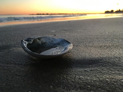 春天的日落在科尼岛海滩在布鲁克林，纽约。
