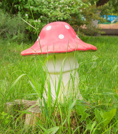 自然界中一种毒蘑菇的特写镜头