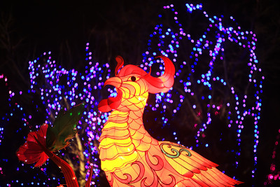 中国节日晚上的灯笼