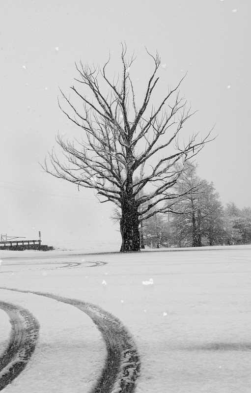 大湖雪日