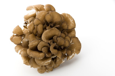 Maitake Mushrooms