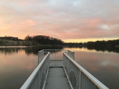 清晨公园的池塘风景