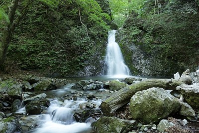 高山流水