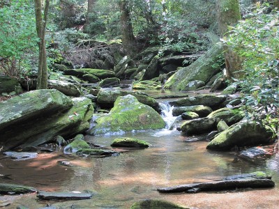 夏天数控山